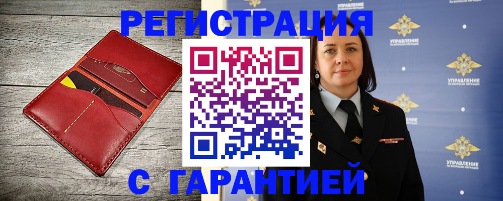 прописка поиск в Курчалом